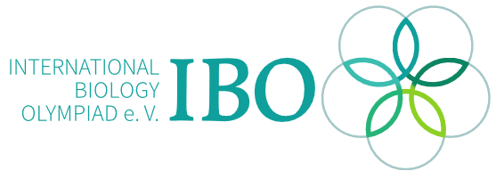 IBO