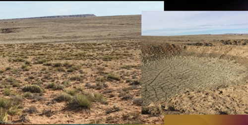 desert