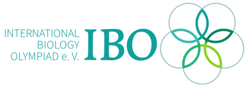 IBO